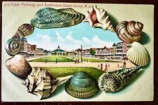 Antique Shell Border Postcard c1910, OCEAN PATHWAY & AUDITORIUM, OCEAN GROVE NJ picture