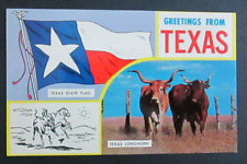Greetings from Texas State Flag Longhorn Cattle TX Unposted Chrome Postcard picture