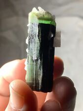 127 Carats Top Quality Green Cap Tourmaline Crystal from Astak Nala Pakistan picture
