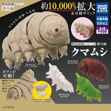 Primary Color Picture Book Series Tardigrade All 4 types Complete Gashapon  picture
