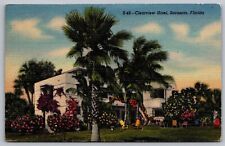 Clearview Hotel Sarasota Florida Tropical Palms Flowers Motel Vintage Postcard picture
