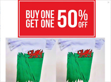 10 Metre Wales Welsh Dragon Rugby 6 Nation Fabric Flag Party Cymru Rugby Bunting picture