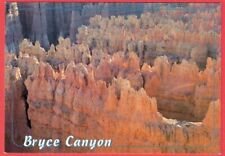 Bryce Canyon National Park Utah Postcard Best of the West Prints picture