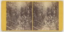 NEW HAMPSHIRE SV - Franconia Flume - Heywood 1860s picture