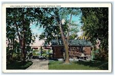c1920 Log Cabin Entrance Blue Hole Castalia Ohio OH Vintage Unposted Postcard picture