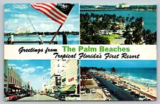 Postcard FL Greetings From The Palm Beaches Multi Views UNP A30 picture