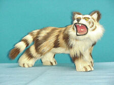 Vintage Miniature White Tiger Cat Taxidermy Real Hair Fur 9