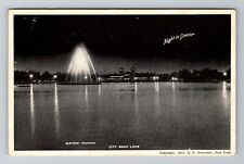 Denver CO-Colorado, Electric Fountain, City Park Lane, Antique Vintage Postcard picture