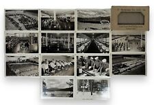 WWII US NAVY Naval Training Center Farragut, ID RPPC Postcards Lot of 13 picture