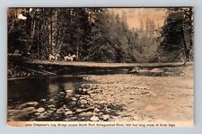 North Fork WA-Washington, John Chapman's Log Bridge, Vintage Postcard picture