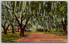 Postcard The Pakenham Oaks The Cathedral Of Oaks New Orleans LA Clean Unposted picture