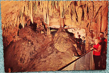 Mammoth Cave National Park Kentucky 1950s Unused Deckle Edge Postcard picture