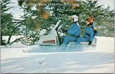 ANNANDALE, Minnesota Greetings Postcard Snowmobile Scene / 1980 Cancel picture