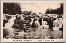 Gillmore Park Indian Falls New York Charlie D Gillmore Prop. Postcard W375 picture