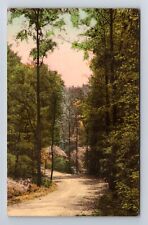 Spencer IN-Indiana, Drive Through The Park, Antique, Vintage c1938 Postcard picture