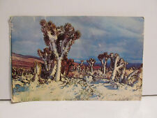 RARE VINTAGE JOSHUA TREE CA CALIFORNIA COVERED IN SNOW PHOTO POSTCARD POST CARD picture