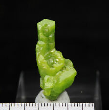 27.5mm Green Pyromorphite from China CMM613468 picture