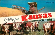 KS, Kansas, Multi View, Bulls, Wheat Combine, Colourpicture No. P13809 picture