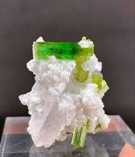 Mesmerizing Green TOURMALINE Terminated Crystals Cluster With QUARTZ and MICA picture