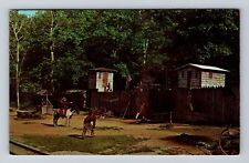 Blowing Rock NC-North Carolina, Tweetsie Railroad, Old Ft Boone Vintage Postcard picture