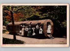 c1910 Spruce Log Palmer Park Detroit Michigan MI Postcard picture