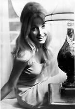 American actress Sharon Tate 17th September 1965 Historic Old Photo picture