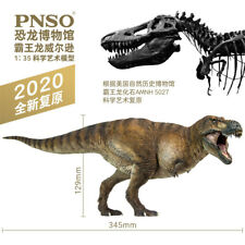 PNSO 1:35 Tyrannosaurus Rex Wilson Model Dinosaur Museum Scientific Art GK Decor picture