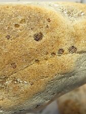 Quartz With Mica/Garnet Tumbled/Smooth Specimans 2.5 oz • Pipers Gap VA picture