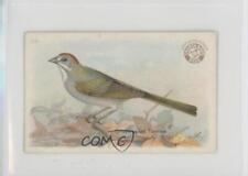 1922 Arm & Hammer Useful Birds of America Series 3 Green-tailed Towhee #23 0in6 picture