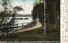 Postcard ME Rangeley Lake House Promenade & Steamboat Landing Vintage PC H4501 picture