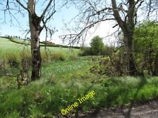 Photo 6x4 Wetland south-west of the South Armagh village of Lisnalea Moun c2012 picture
