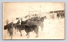RPPC Horse Round Up at Farm Notation of Carry Me Etc Carry Maine ME Postcard picture