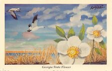 GA~GEORGIA~CHEROKEE ROSE~STATE FLOWER~PAINTED BY KEN HAAG picture
