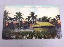 Thatched House built of Palm Leaves Florida Vintage  Color Postcard Unposted picture
