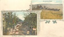Early Multiview Postcard Art Nouveau Motif, Oregon Apples, Wheat, Agriculture  picture