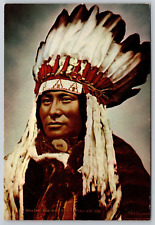 Postcard Hunkpapap Sioux Chief Rain-In-the-Face Foe of Custer LA Huffman Photo picture