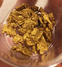 Gold Paydirt 1 Lb 100% Unsearched and Guaranteed Added GOLD Panning Nugget picture