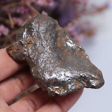 124g Gebel Kamil Iron Meteorite Space Gift A1486 picture