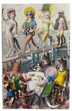 Alfred Mainzer Cats Postcard Belgium Anthropomorphic Swimsuit Bathing Beauties picture