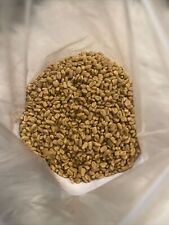 Fenugreek Seed, Whole 1 oz  Herbs picture