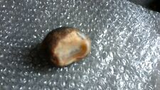 178g 6+ oz lake superior rough agate geode raw unpolished picture