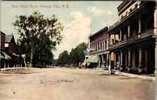 Honeoye Falls, NY, Main Street N, Postcard, 1909 #1673 picture