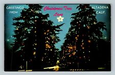 Altadena CA-California, Christmas Tree Lane, Vintage Postcard picture