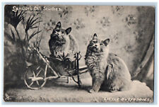 London England Postcard Two Cats Busybodies Landor's Cat Studies 1905 Tuck Art picture