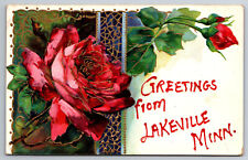 Vintage Postcard MN Lakeville Greetings Raised Lettering c1910 ~7184 picture