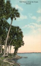 Postcard FL Tall Palms along the Coast Florida Divided Back Vintage PC H9313 picture