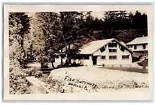 c1910's Fish Hatchary Douglas County RPPC Photo Unposted Antique Postcard picture