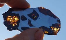 SUPERB, RARE 24g FUKANG PALLASITE METEORITE SLICE  HUGE DISPLAY AREA TO WEIGHT picture