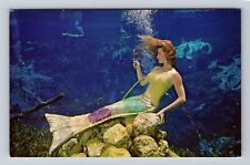 Weeki Wachee FL-Florida, Mermaid Preparing for Show, Antique Vintage Postcard picture