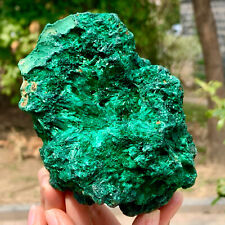 1.41LB Natural glossy Malachite transparent cluster rough mineral sample picture